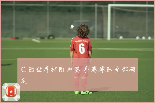 巴西世界杯附加赛 参赛球队全部确定