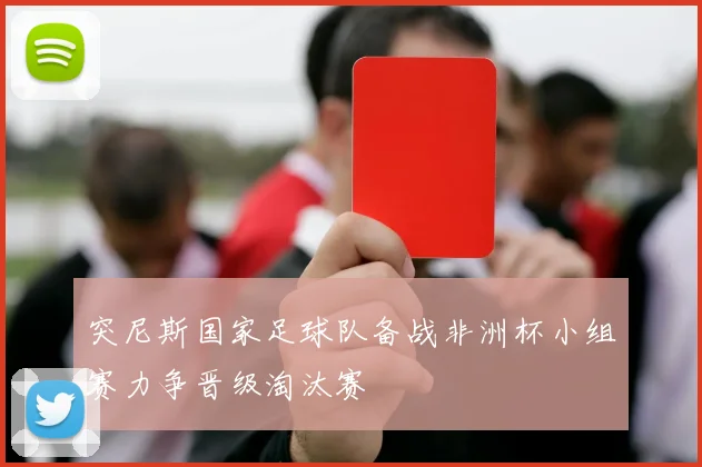 突尼斯国家足球队备战非洲杯小组赛力争晋级淘汰赛