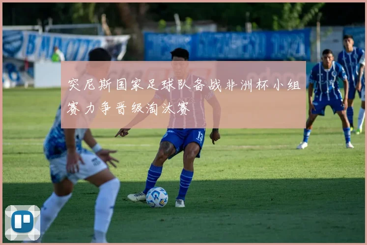 突尼斯国家足球队备战非洲杯小组赛力争晋级淘汰赛