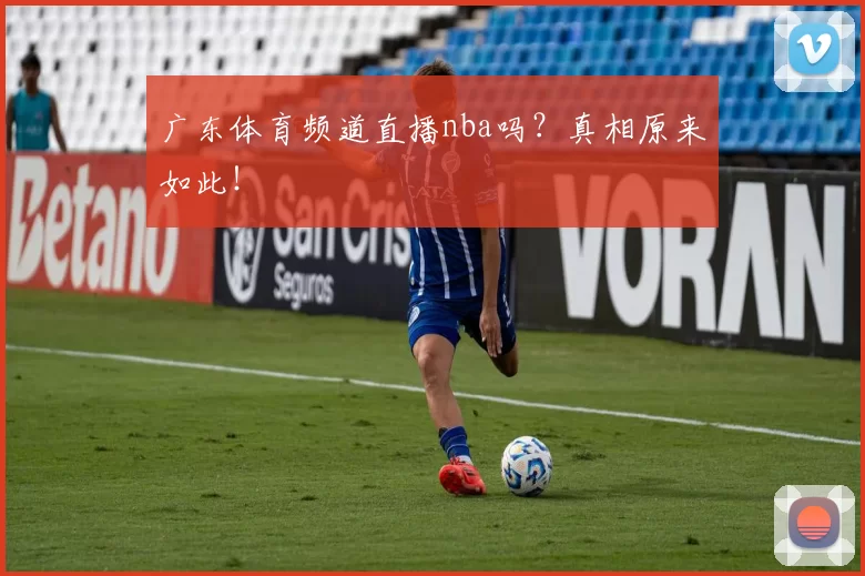 广东体育频道直播nba吗？真相原来如此！
